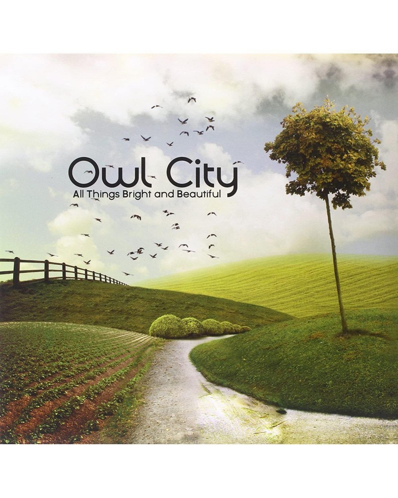 Owl City All Things Bright & Beautiful Vinyl Record $12.54 Vinyl