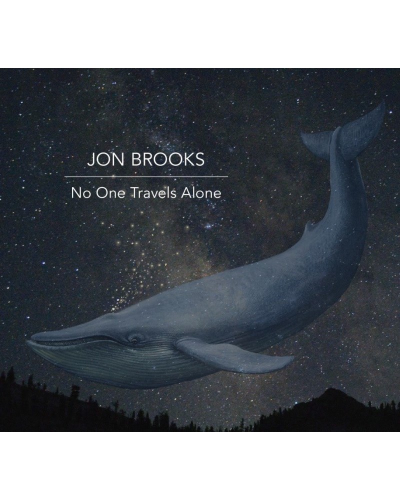 Jon Brooks NO ONE TRAVELS ALONE Vinyl Record $6.29 Vinyl